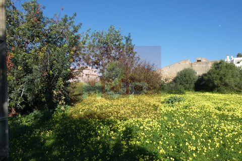 Helårsgrund i Quelfes, Faro, Quelfes - € 5.500.000 | Ref: 170240009 - foto 40