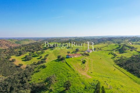 Landejendom i Ourique, Beja, Ourique - € 355.000 | Ref: ZR432 - foto 3