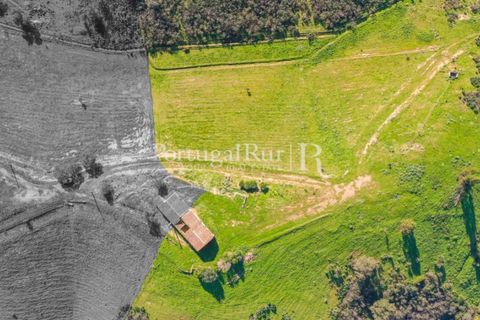 Landejendom i Ourique, Beja, Ourique - € 355.000 | Ref: ZR432 - foto 7