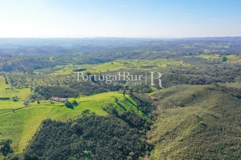 Landejendom i Ourique, Beja, Ourique - € 355.000 | Ref: ZR432 - foto 6