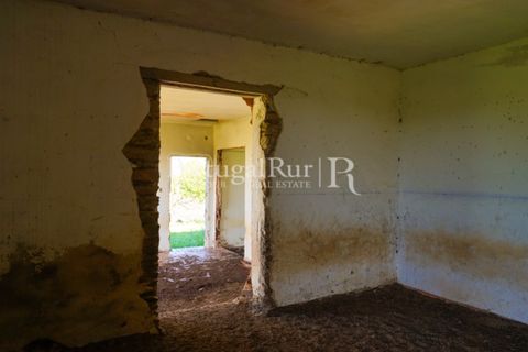 Landejendom i Ourique, Beja, Ourique - € 355.000 | Ref: ZR432 - foto 11