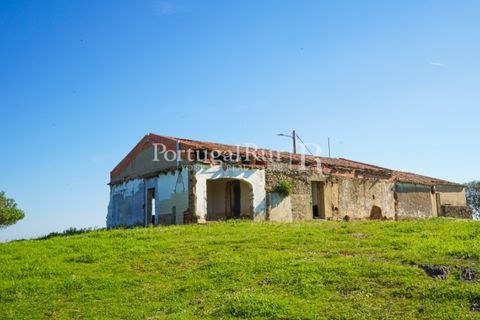 Landejendom i Ourique, Beja, Ourique - € 355.000 | Ref: ZR432 - foto 4