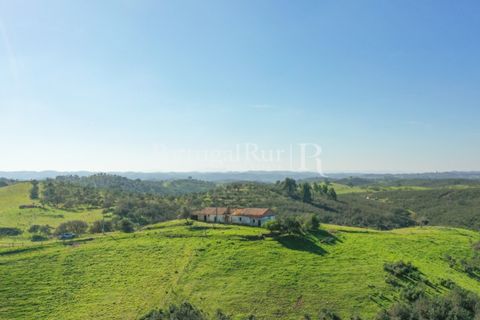 Landejendom i Ourique, Beja, Ourique - € 355.000 | Ref: ZR432 - foto 14