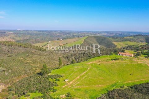 Landejendom i Ourique, Beja, Ourique - € 355.000 | Ref: ZR432 - foto 15