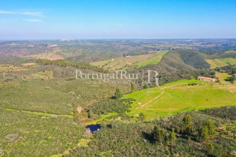 Landejendom i Ourique, Beja, Ourique - € 355.000 | Ref: ZR432 - foto 16
