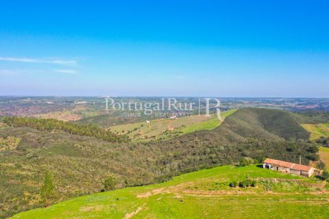 Landejendom i Ourique, Beja, Ourique - € 355.000 | Ref: ZR432 - foto 17