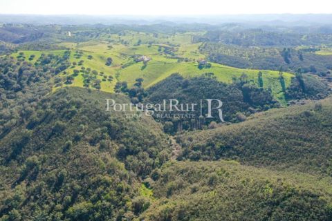 Landejendom i Ourique, Beja, Ourique - € 355.000 | Ref: ZR432 - foto 18