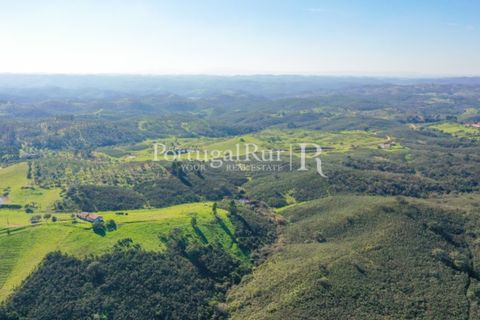 Landejendom i Ourique, Beja, Ourique - € 355.000 | Ref: ZR432 - foto 19