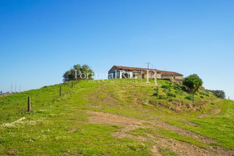 Landejendom i Ourique, Beja, Ourique - € 355.000 | Ref: ZR432 - foto 5