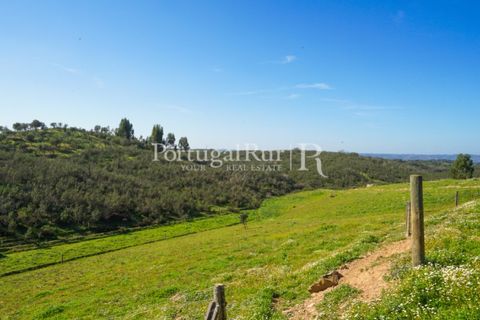 Landejendom i Ourique, Beja, Ourique - € 355.000 | Ref: ZR432 - foto 20