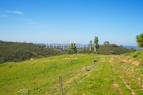 Landejendom i Ourique, Beja, Ourique - € 355.000 | Ref: ZR432 - foto 21
