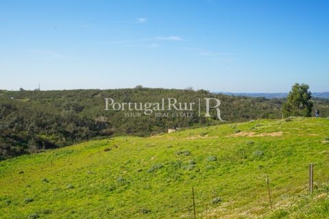 Landejendom i Ourique, Beja, Ourique - € 355.000 | Ref: ZR432 - foto 22