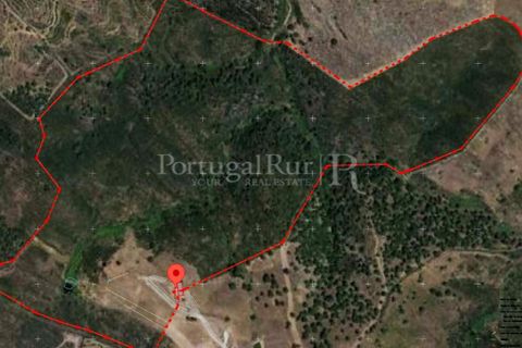 Landejendom i Ourique, Beja, Ourique - € 355.000 | Ref: ZR432 - foto 23