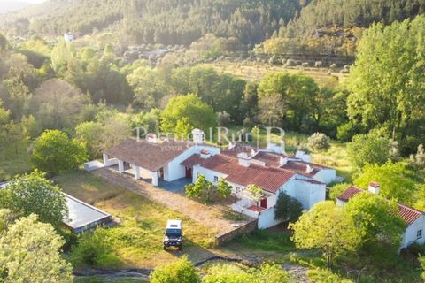 Farm i Castelo de Vide, Portalegre, Castelo de Vide - € 799.000 | Ref: 425 - foto 2