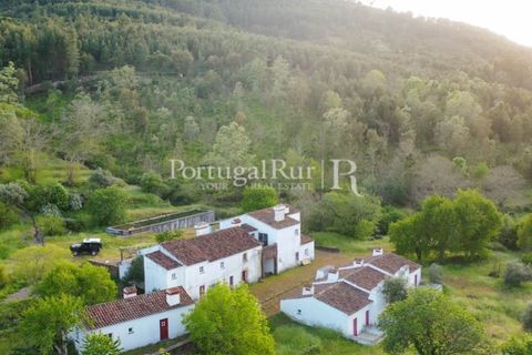 Farm i Castelo de Vide, Portalegre, Castelo de Vide - € 799.000 | Ref: 425 - foto 1
