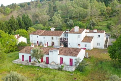 Farm i Castelo de Vide, Portalegre, Castelo de Vide - € 799.000 | Ref: 425 - foto 3