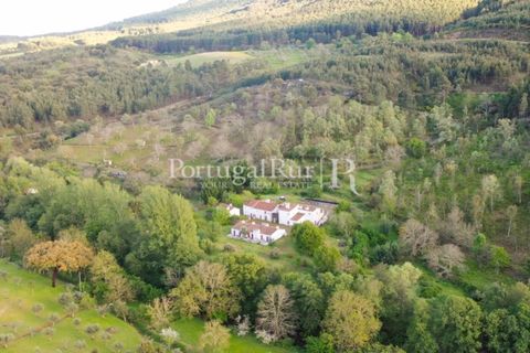 Farm i Castelo de Vide, Portalegre, Castelo de Vide - € 799.000 | Ref: 425 - foto 6