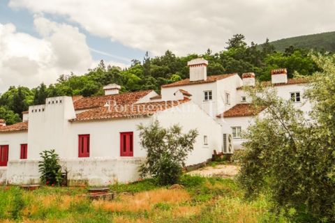 Farm i Castelo de Vide, Portalegre, Castelo de Vide - € 799.000 | Ref: 425 - foto 5