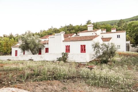 Farm i Castelo de Vide, Portalegre, Castelo de Vide - € 799.000 | Ref: 425 - foto 8
