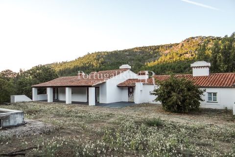 Farm i Castelo de Vide, Portalegre, Castelo de Vide - € 799.000 | Ref: 425 - foto 11