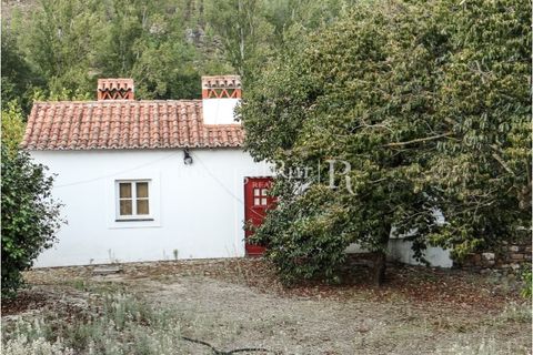 Farm i Castelo de Vide, Portalegre, Castelo de Vide - € 799.000 | Ref: 425 - foto 14