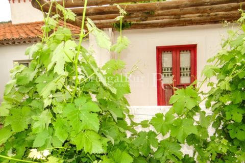Farm i Castelo de Vide, Portalegre, Castelo de Vide - € 799.000 | Ref: 425 - foto 16
