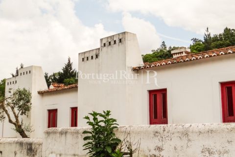 Farm i Castelo de Vide, Portalegre, Castelo de Vide - € 799.000 | Ref: 425 - foto 18