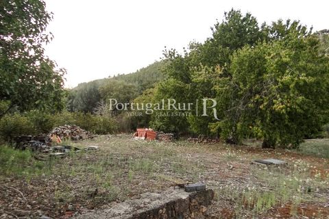 Farm i Castelo de Vide, Portalegre, Castelo de Vide - € 799.000 | Ref: 425 - foto 35