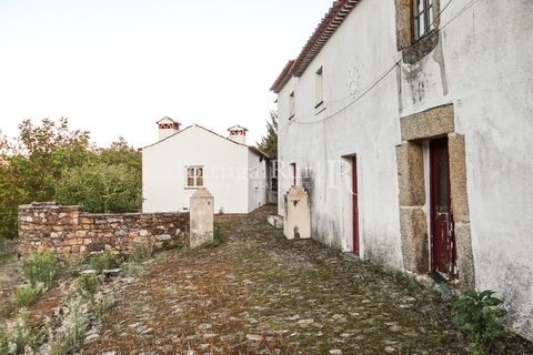 Farm i Castelo de Vide, Portalegre, Castelo de Vide - € 799.000 | Ref: 425 - foto 37