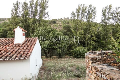 Farm i Castelo de Vide, Portalegre, Castelo de Vide - € 799.000 | Ref: 425 - foto 39