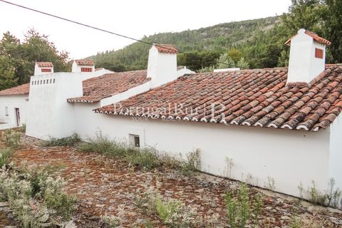 Farm i Castelo de Vide, Portalegre, Castelo de Vide - € 799.000 | Ref: 425 - foto 40