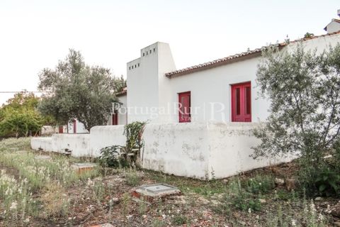 Farm i Castelo de Vide, Portalegre, Castelo de Vide - € 799.000 | Ref: 425 - foto 42