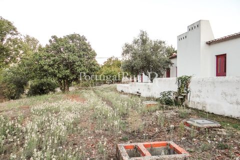 Farm i Castelo de Vide, Portalegre, Castelo de Vide - € 799.000 | Ref: 425 - foto 43