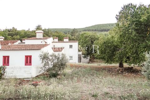 Farm i Castelo de Vide, Portalegre, Castelo de Vide - € 799.000 | Ref: 425 - foto 44