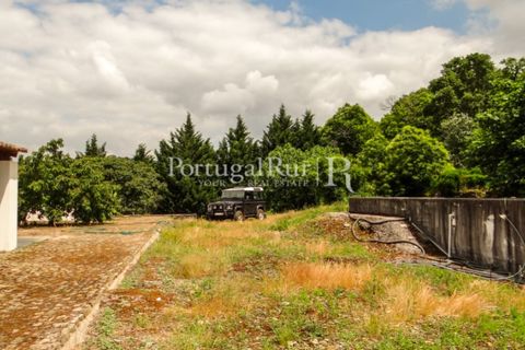 Farm i Castelo de Vide, Portalegre, Castelo de Vide - € 799.000 | Ref: 425 - foto 46