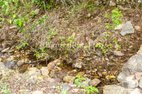 Farm i Castelo de Vide, Portalegre, Castelo de Vide - € 799.000 | Ref: 425 - foto 47
