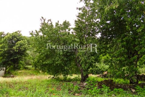 Farm i Castelo de Vide, Portalegre, Castelo de Vide - € 799.000 | Ref: 425 - foto 48