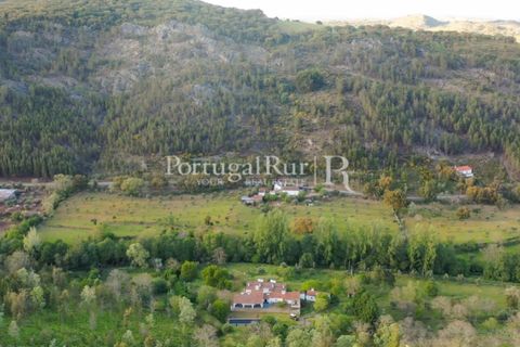 Farm i Castelo de Vide, Portalegre, Castelo de Vide - € 799.000 | Ref: 425 - foto 50