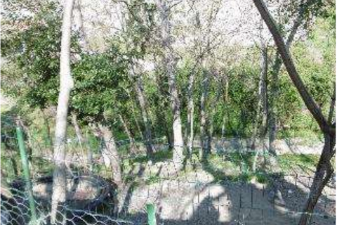 Lejlighed i Civitella di Romagna, Forli-Cesena, Civitella di Romagna - € 72.000 | Ref: 2267 - foto 6
