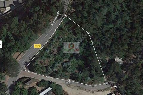 Helårsgrund i Sever do Vouga, Aveiro, Sever do Vouga - € 15.600 | Ref: 3058 - foto 4