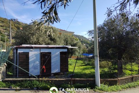 Terra a Savoca, Messina, Savoca - € 90.000 | Ref: VP2011 - foto 8