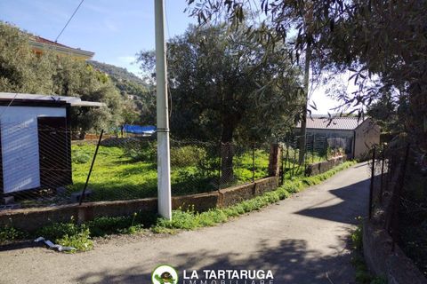 Terra a Savoca, Messina, Savoca - € 90.000 | Ref: VP2011 - foto 10
