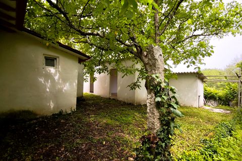 Farm hus i Valenca, Viana do Castelo, Valenca - € 380.000 | Ref: VA-0001 - foto 38