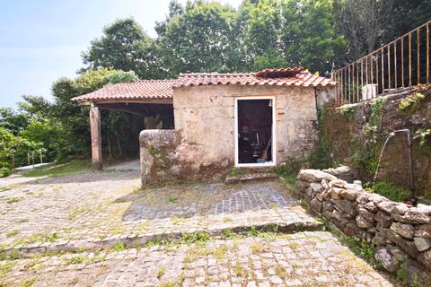 Farm hus i Valenca, Viana do Castelo, Valenca - € 380.000 | Ref: VA-0001 - foto 23