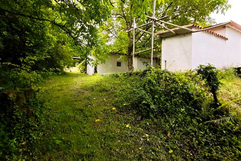 Farm hus i Valenca, Viana do Castelo, Valenca - € 380.000 | Ref: VA-0001 - foto 31