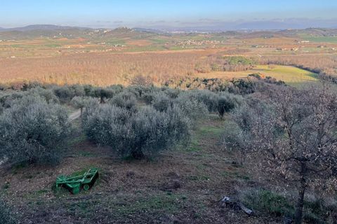 Villa i Panicale, Perugia, Panicale - € 380.000 | Ref: 84093290 - foto 22