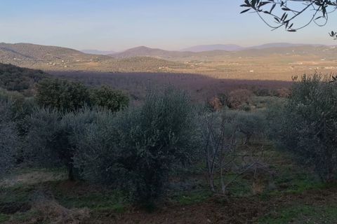 Villa i Panicale, Perugia, Panicale - € 380.000 | Ref: 84093290 - foto 29
