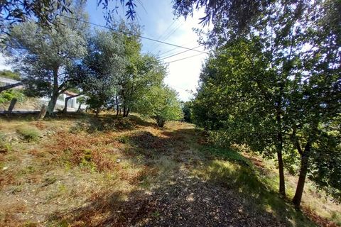 Landejendom i Segude, Viana do Castelo, Segude - € 120.000 | Ref: MNC1400CPR - foto 5