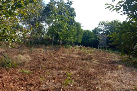 Landejendom i Segude, Viana do Castelo, Segude - € 120.000 | Ref: MNC1400CPR - foto 7