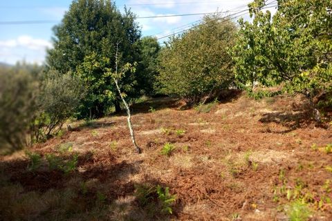Landejendom i Segude, Viana do Castelo, Segude - € 120.000 | Ref: MNC1400CPR - foto 8